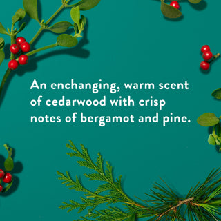 The Scents of the Season